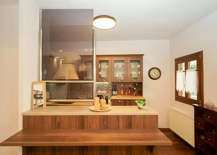 & Apartments-mihail 3* Elati (Trikala)